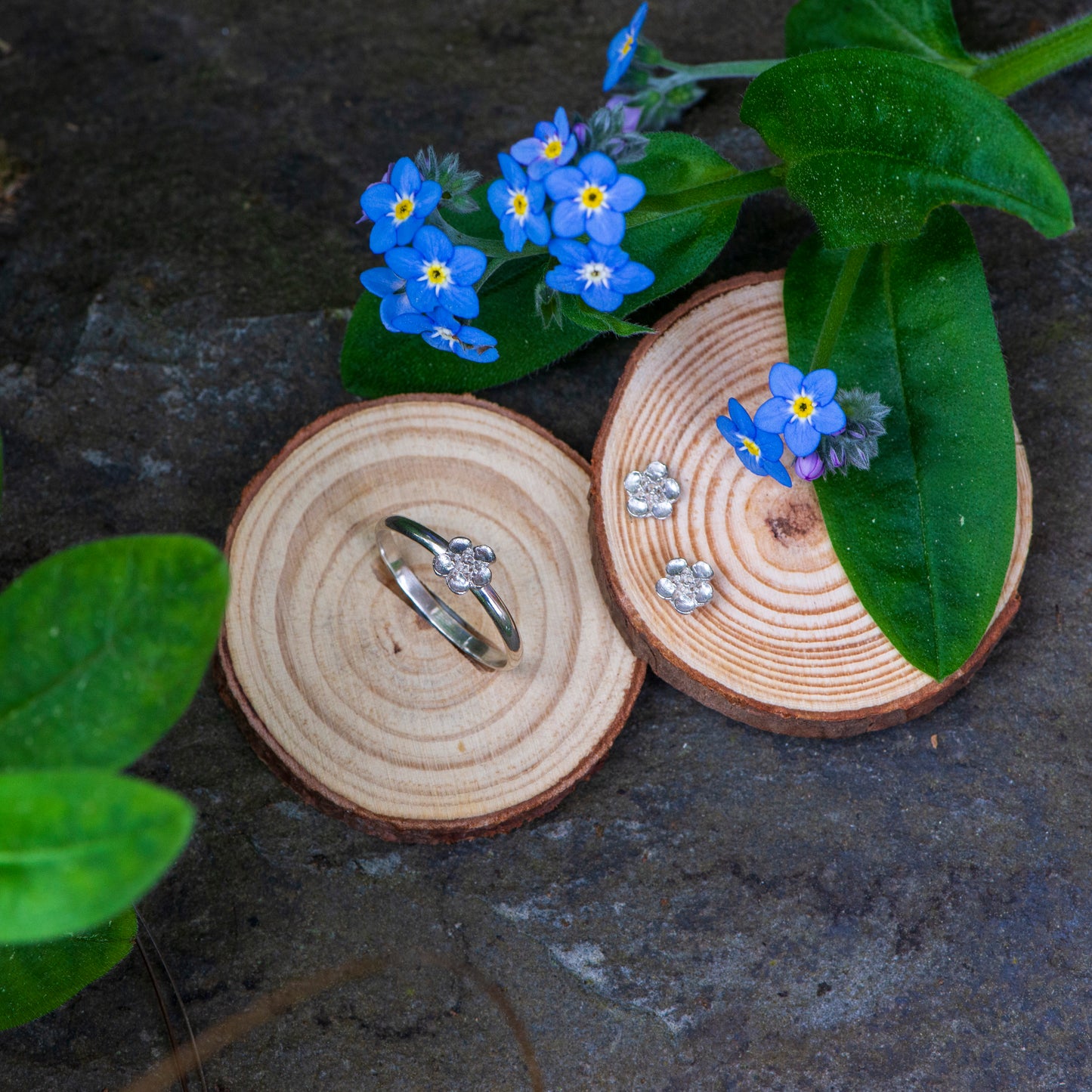 Manuka Flower studs