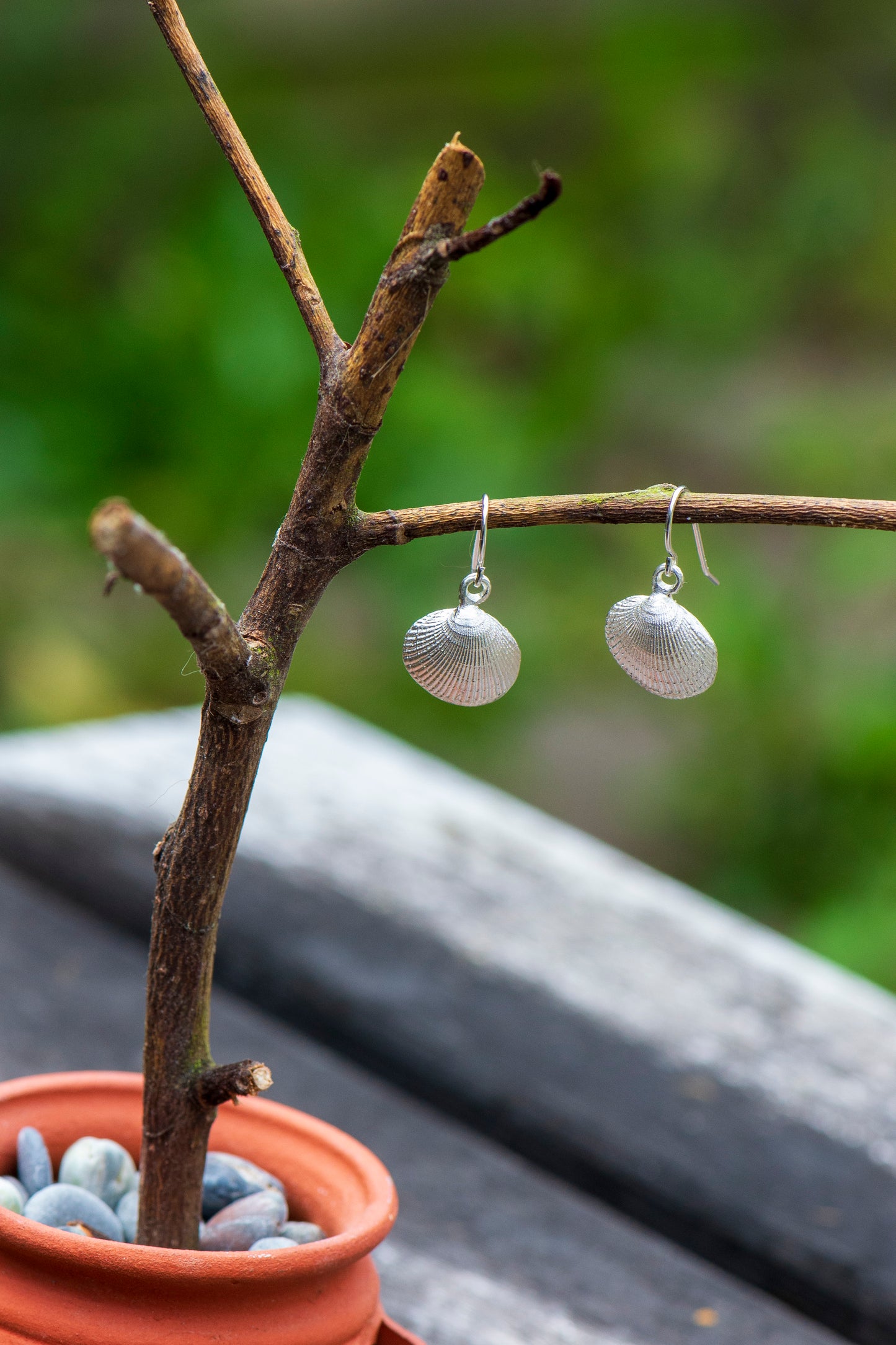 Clam Shell Earrings