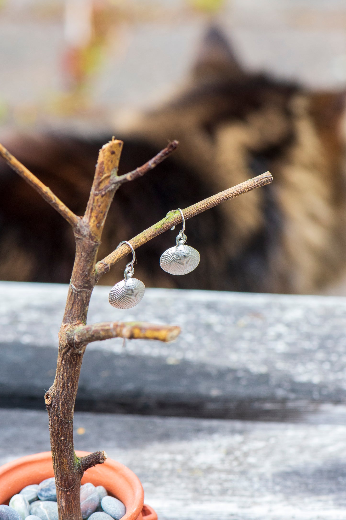 Clam Shell Earrings