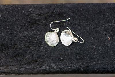 Clam Shell Earrings
