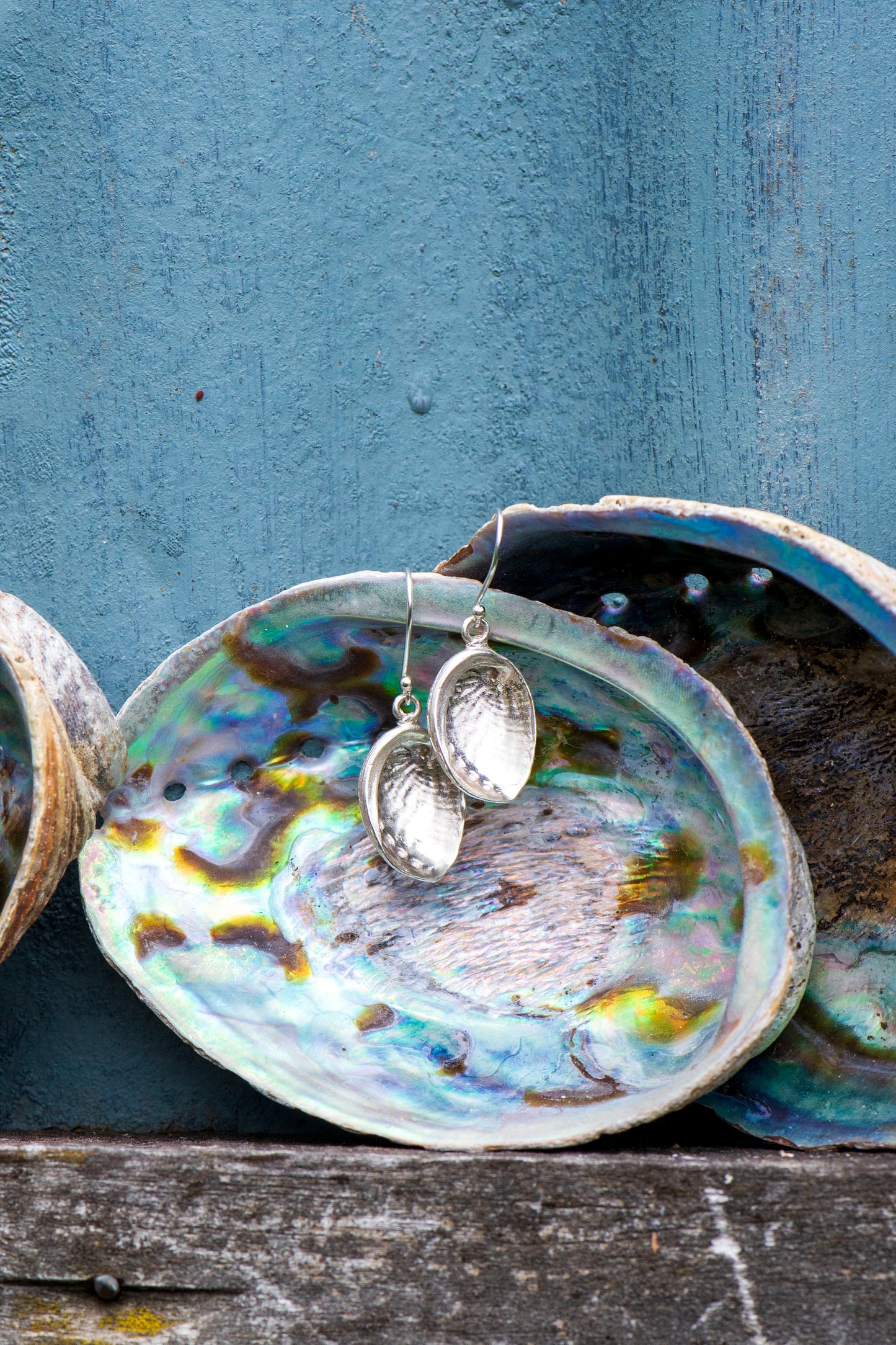 Paua earrings