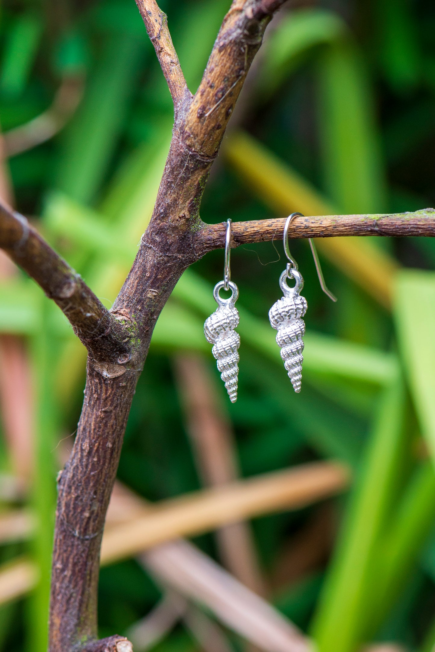 Spiral Shell Earrings