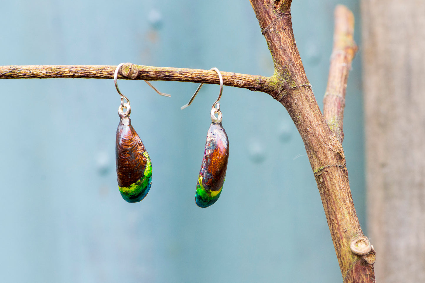 Green Lip Mussel Shell Earrings