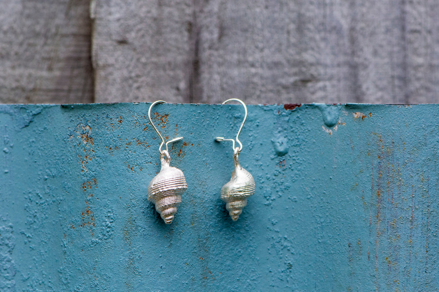 Sea Snail Shell Earrings